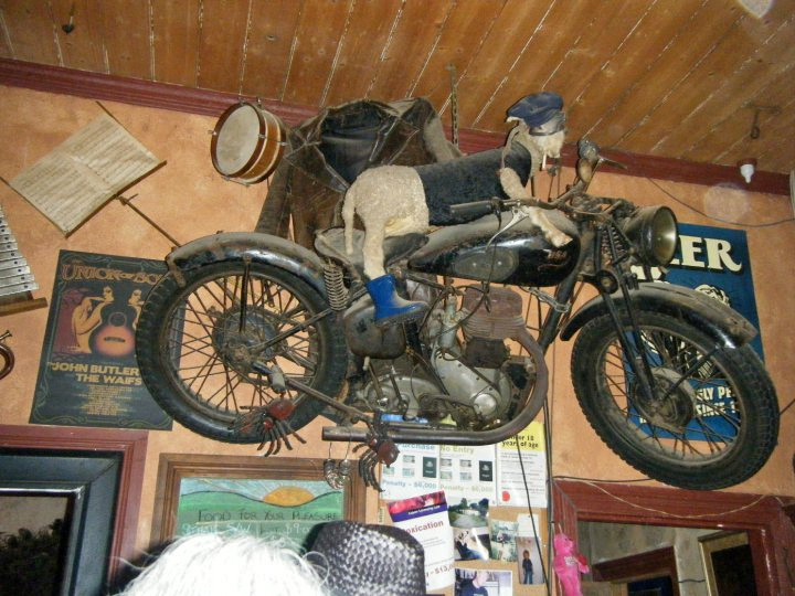 Break O Day Hotel_sheep on bike_Debra