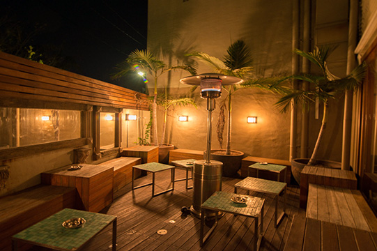 Dolphin courtyard. Image: website