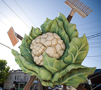 THE cauliflower_sq
